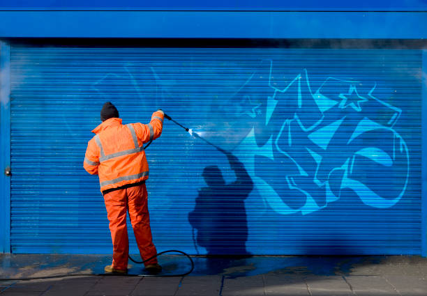 Best Best Pressure Washing Companies  in Martin, TN
