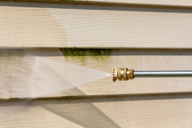 Best Deck Cleaning Services  in Martin, TN